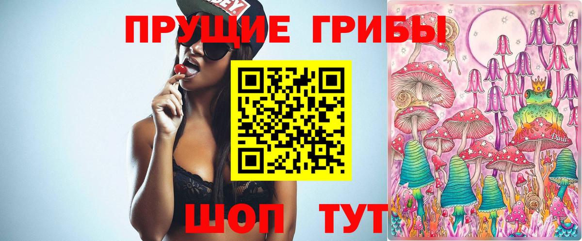 купить наркоту  Вход с VPN  Норильск  Псилоцибиновые грибы мухоморы 