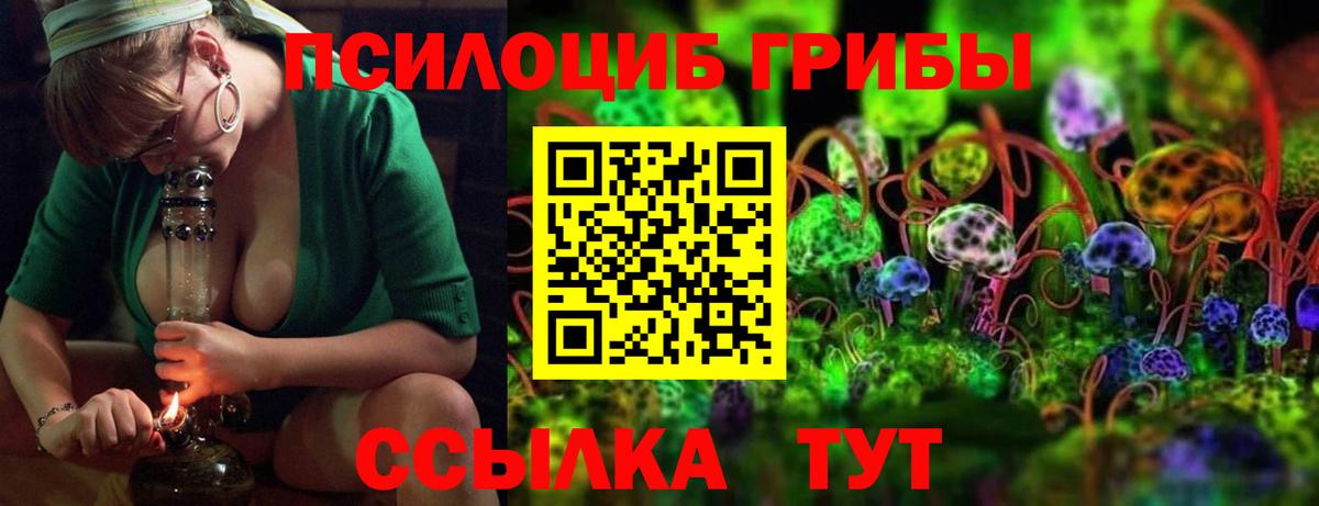 Псилоцибиновые грибы мицелий Норильск
